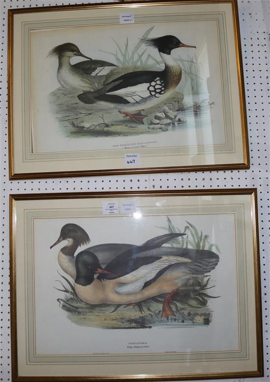 Pair coloured prints of ducks